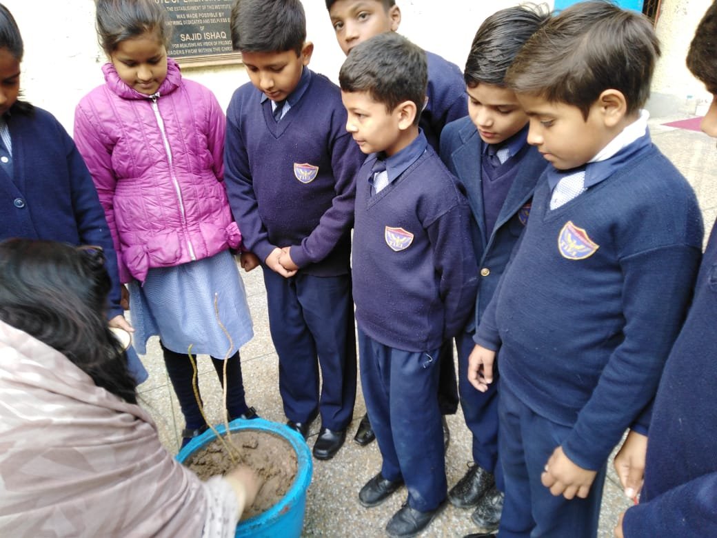 Science Activities
